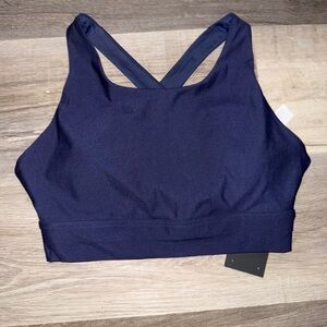 Fabletics Deep Blue Sports Bra